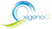 oxigenog.com